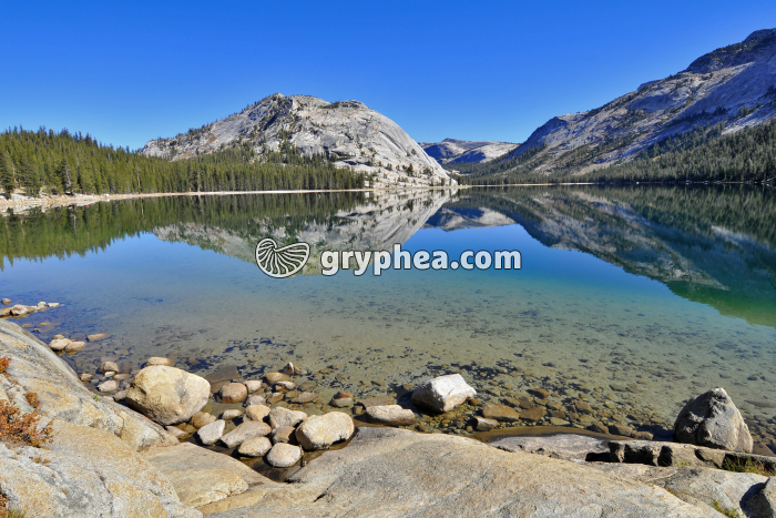 Lac de montagne - Tenaya lake (Yosemite NP, California, USA) - gryphea.org